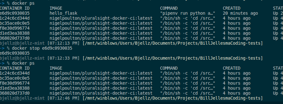 Docker Stop