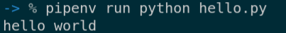 Running hello.py