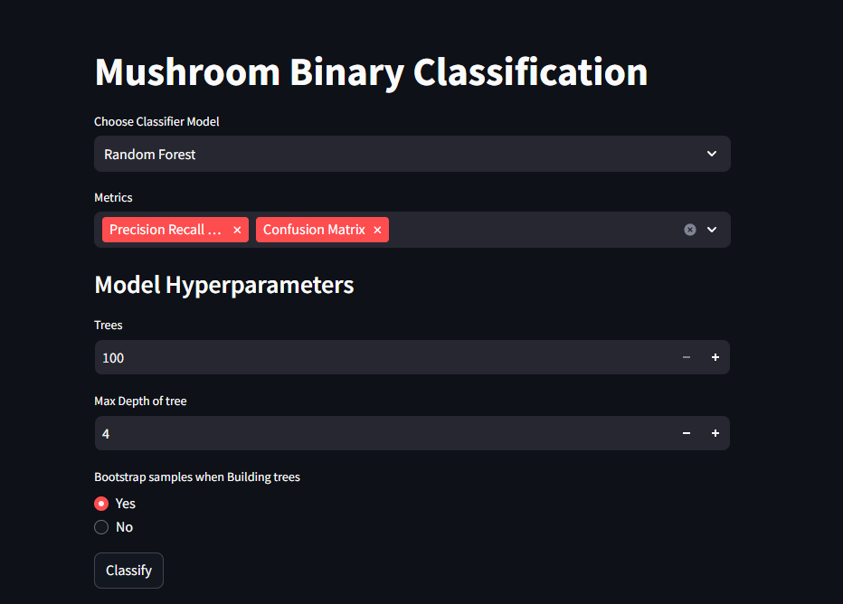 Streamlit hyperparameters